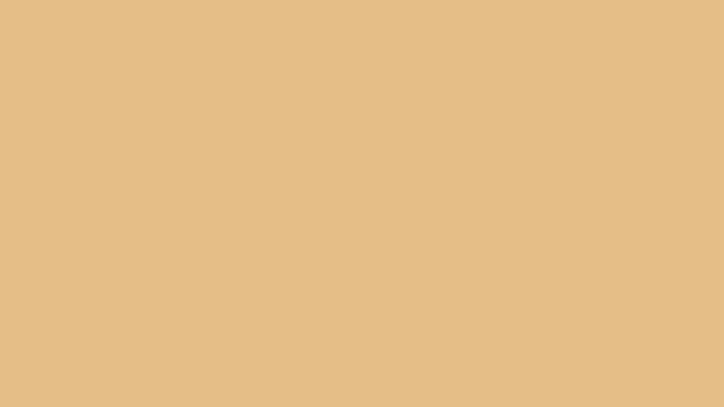 ACTIVE Ladies 20 denier socks with massaging sole (beige, graphite, natural, black or visone)